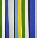 P.T. 2513 Issue - citrus 408