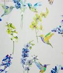 Pt.8604 waterfall 010 Humming Bird