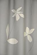 Drawn Flowers antraciet