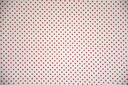 Micro dots on white wit-rood